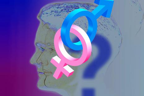 La transition de genre, un parcours d'obstacles
