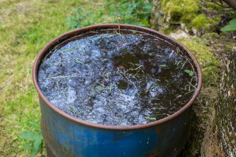 La prévention contre les arboviroses passe aussi par le nettoyage des jardins avec la chasse aux contenants d'eau